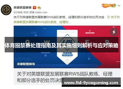 体育圈禁赛处理指南及其实施细则解析与应对策略